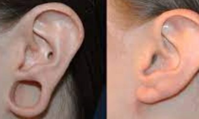 Samudrika Shastra: Ears not only listen but also say something