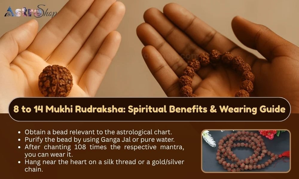 8 to 14 Mukhi Rudraksha: Spiritual Benefits & Wearing Guide