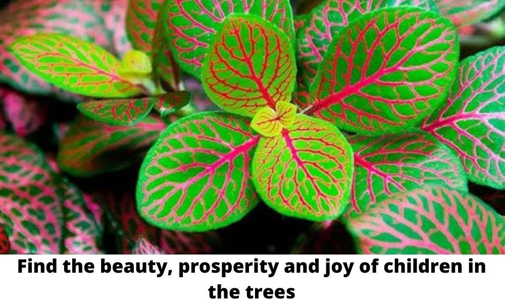 Find the beauty, prosperity and joy of children in the trees