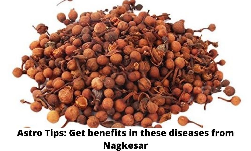 Astro Tips: Get benefits in these diseases from Nagkesar