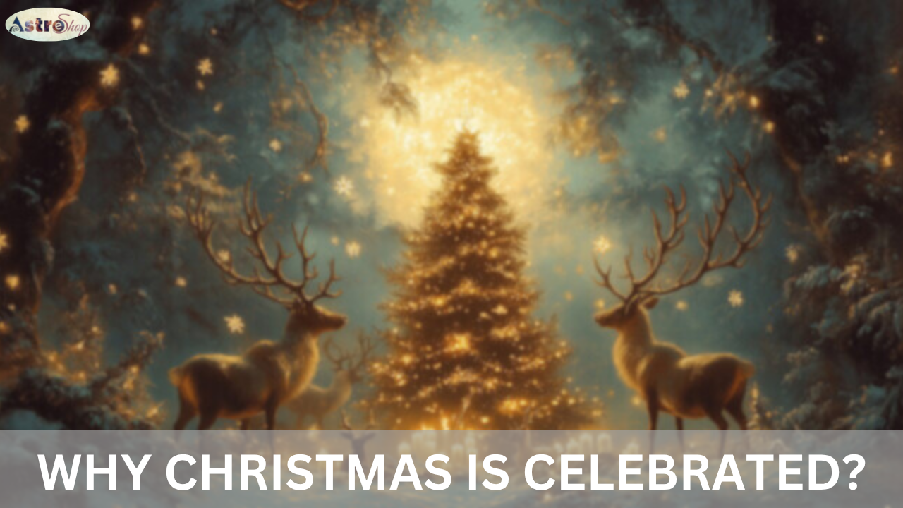 WHY CHRISTMAS IS CELEBRATED?